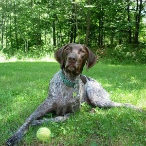 Meet your Posher, Colleen